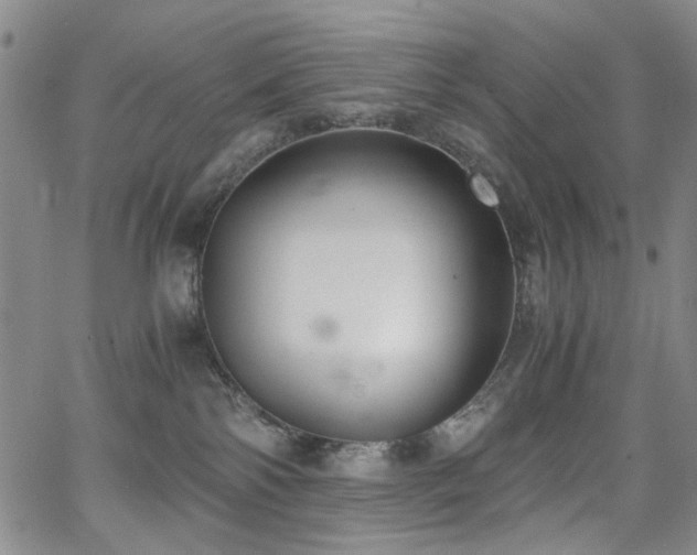 X0000063520138200601201442