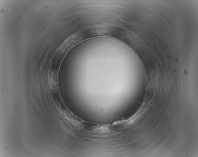 X0000063520140200601201442