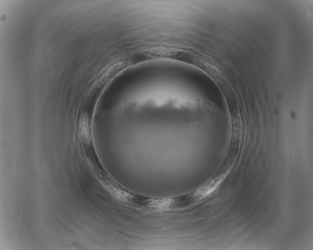 X0000063520143200601201442