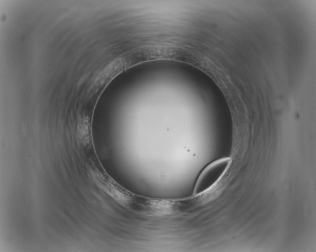 X0000063520144200601201442