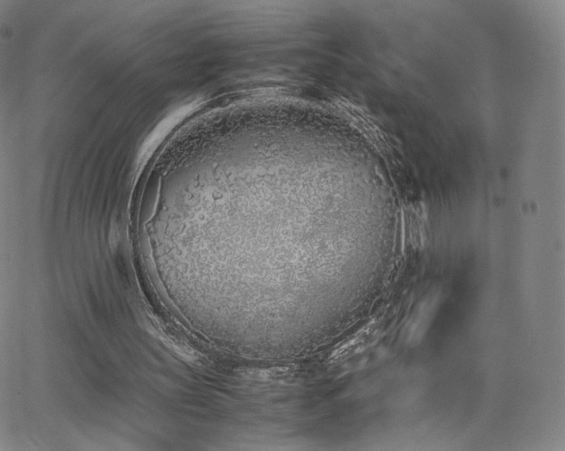 X0000063520147200601201442