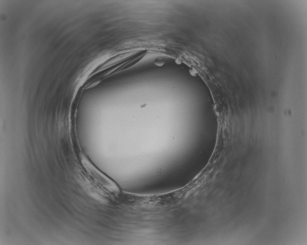 X0000063520148200601201442