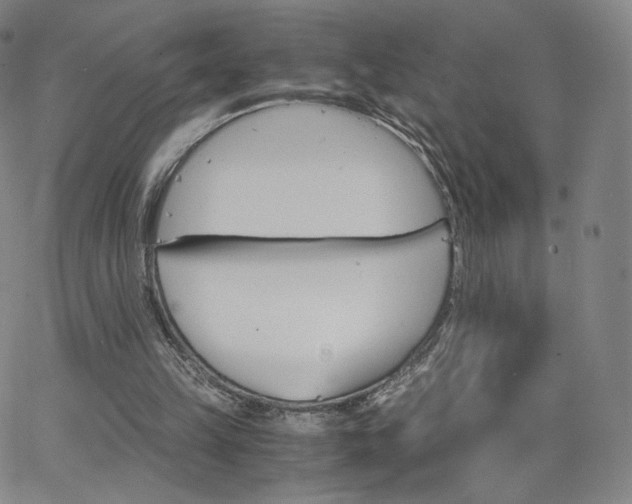 X0000063520149200601201442