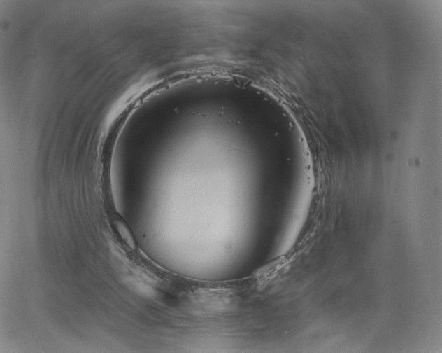 X0000063520150200601201442