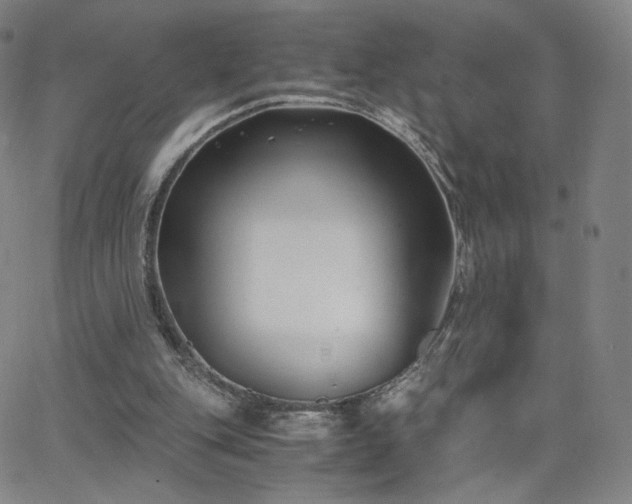 X0000063520151200601201442