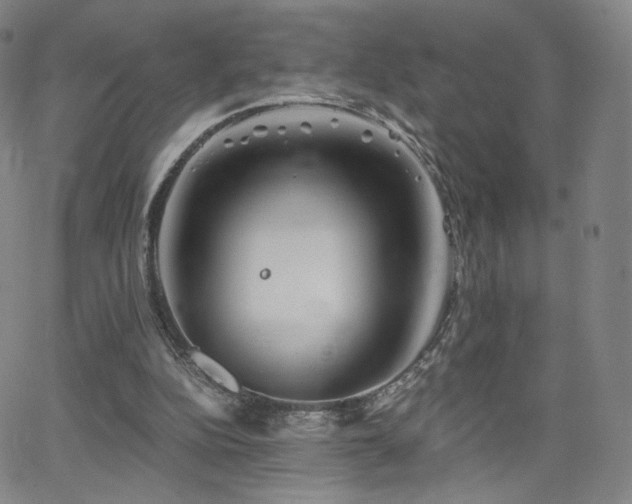 X0000063520152200601201442