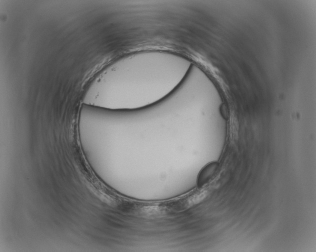 X0000063520153200601201442