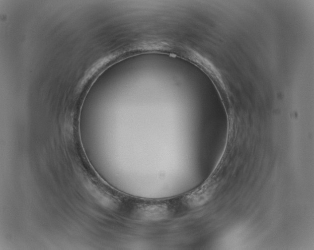 X0000063520155200601201442