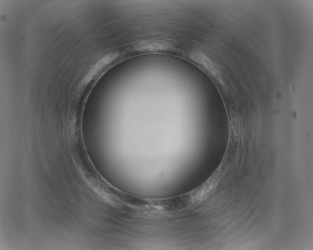 X0000063520159200601201442