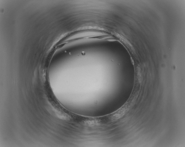 X0000063520160200601201442