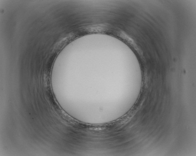 X0000063520161200601201442