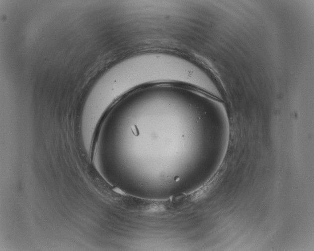 X0000063520162200601201442