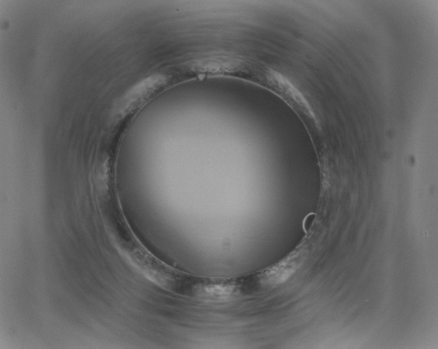 X0000063520163200601201442