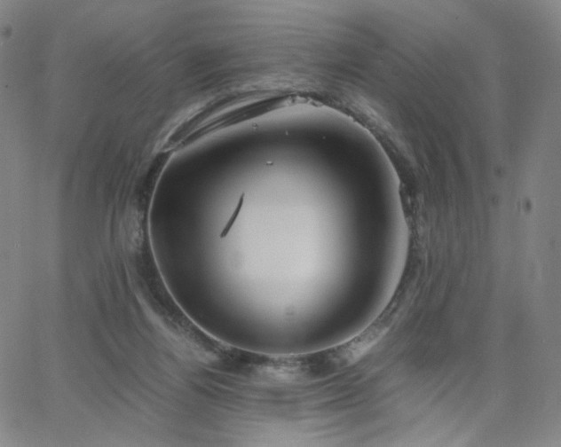 X0000063520164200601201442