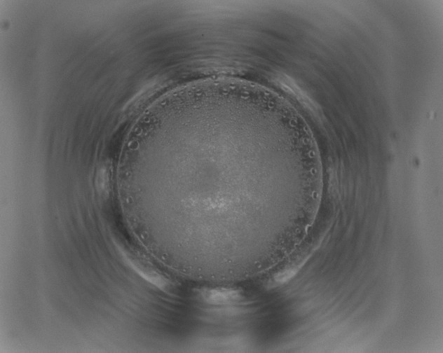 X0000063520165200601201442