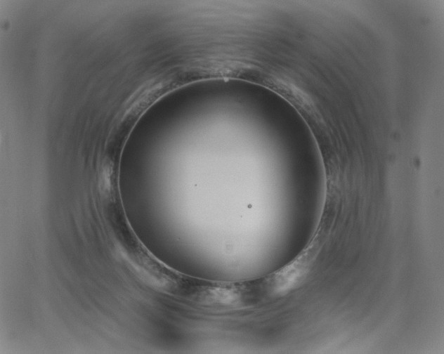 X0000063520166200601201442