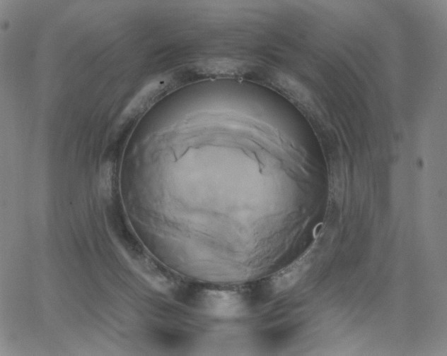 X0000063520167200601201442