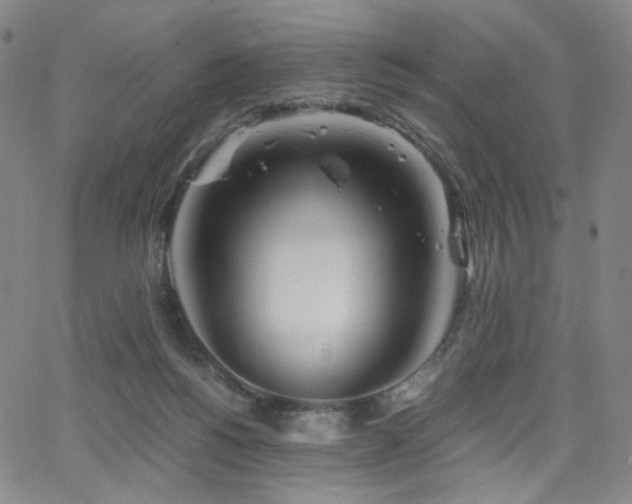 X0000063520168200601201442