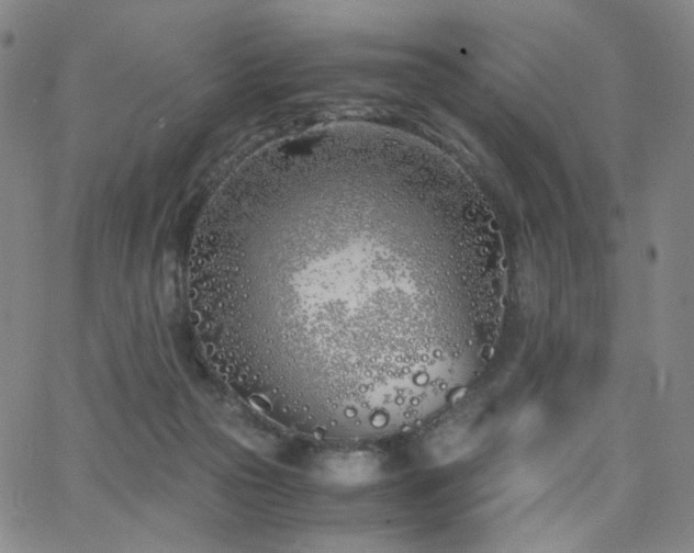 X0000063520169200601201442