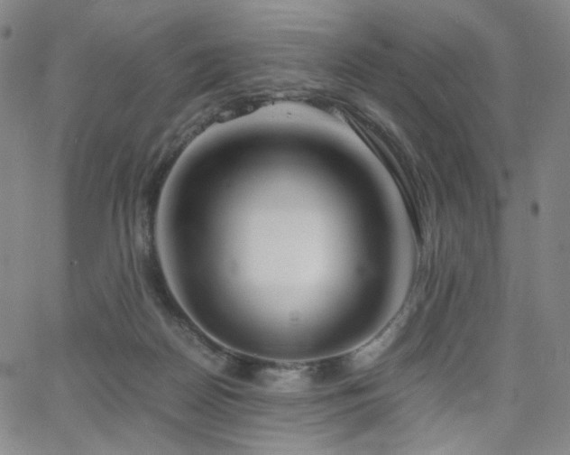 X0000063520170200601201442