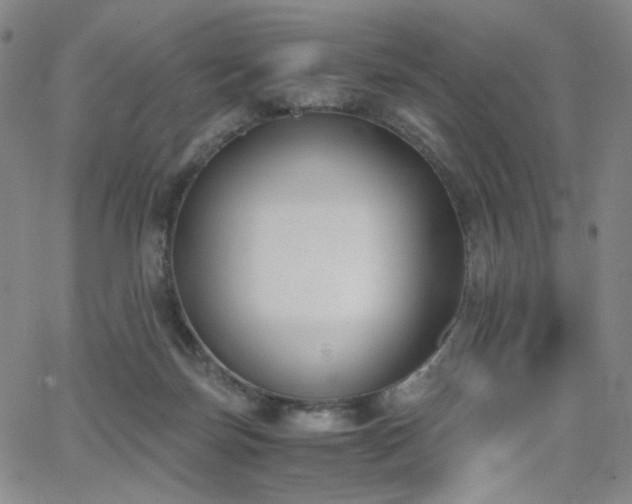 X0000063520171200601201442