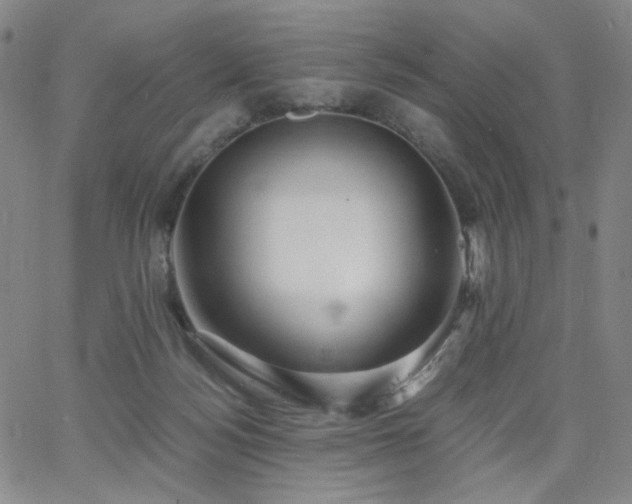 X0000063520172200601201442