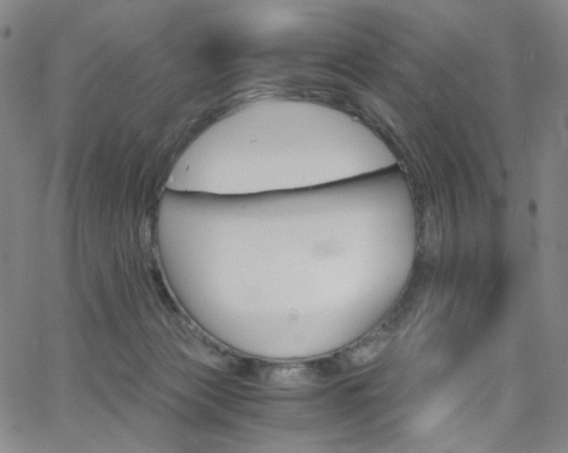 X0000063520173200601201442