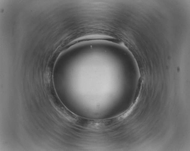 X0000063520174200601201442