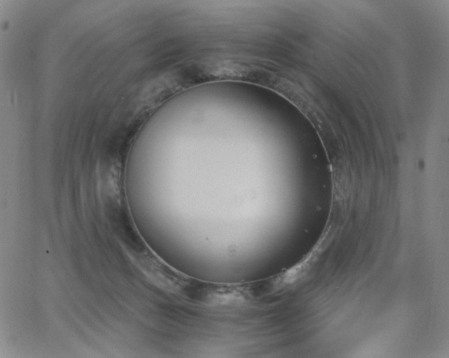 X0000063520175200601201442