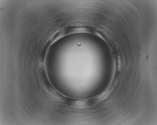 X0000063520176200601201442