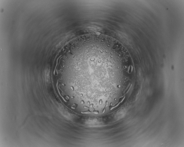 X0000063520177200601201442