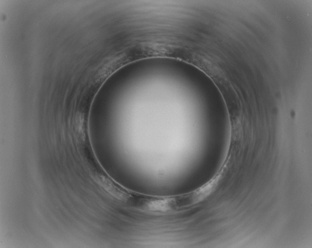 X0000063520178200601201442