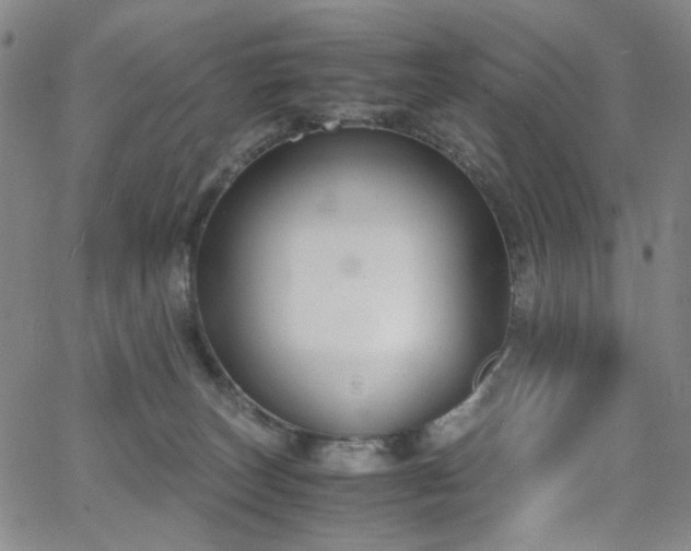 X0000063520179200601201442