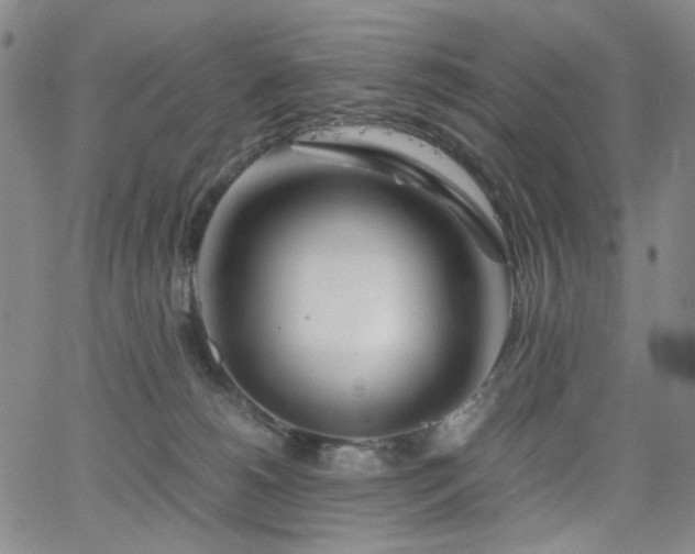 X0000063520180200601201442