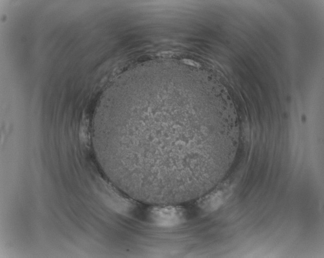 X0000063520181200601201442