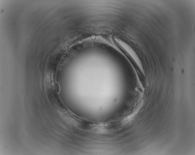 X0000063520182200601201442