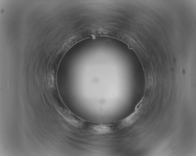 X0000063520183200601201442