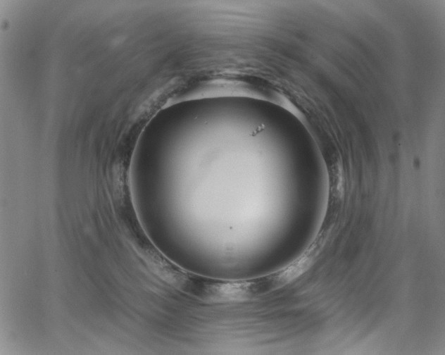 X0000063520184200601201442