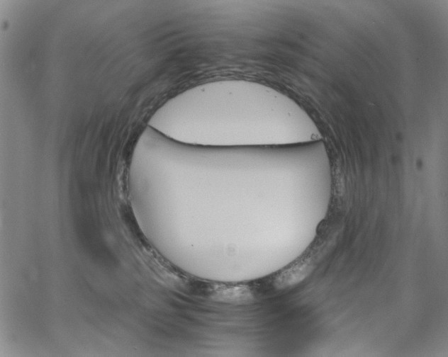 X0000063520185200601201442