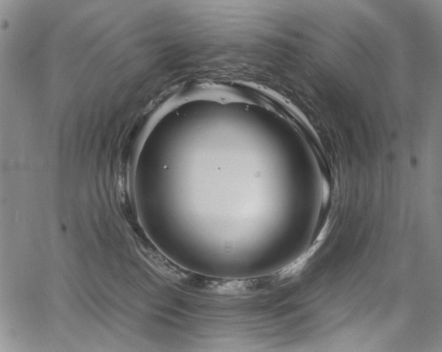 X0000063520186200601201442