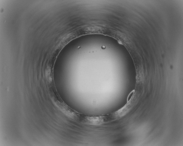 X0000063520187200601201442