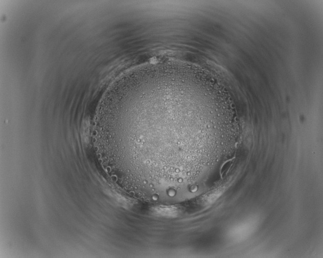 X0000063520189200601201442