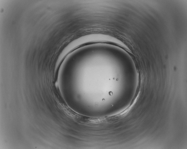 X0000063520190200601201442