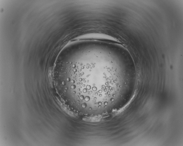 X0000063520191200601201442