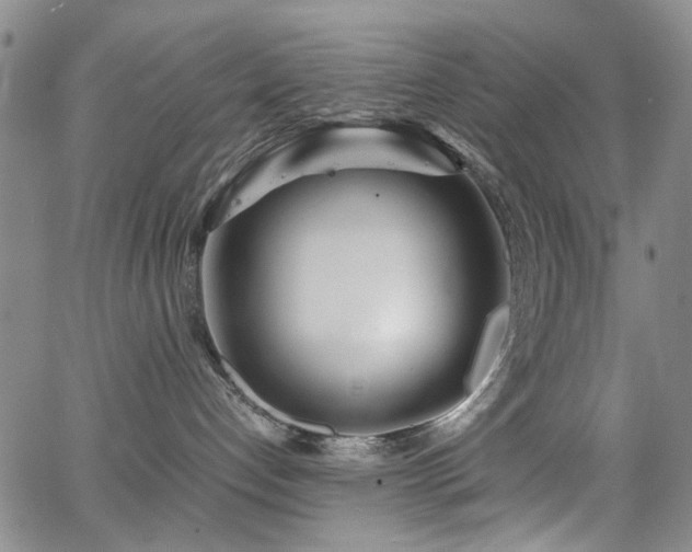 X0000063520192200601201442