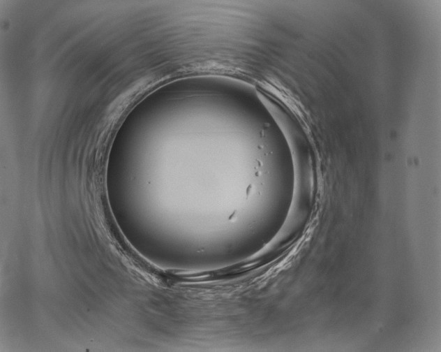 X0000063520193200601201441