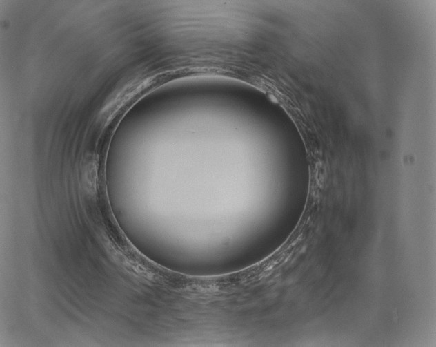 X0000063520194200601201441