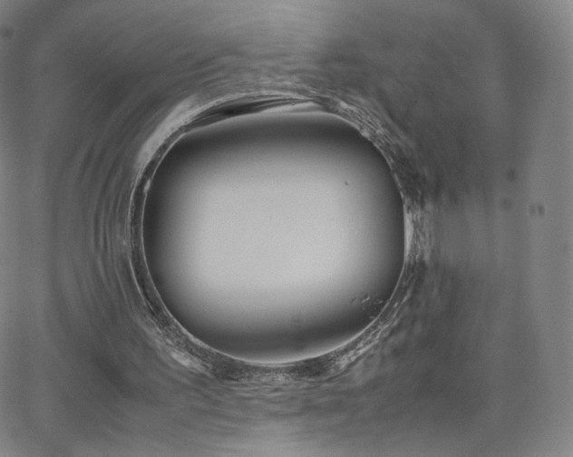 X0000063520195200601201441