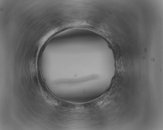 X0000063520196200601201441