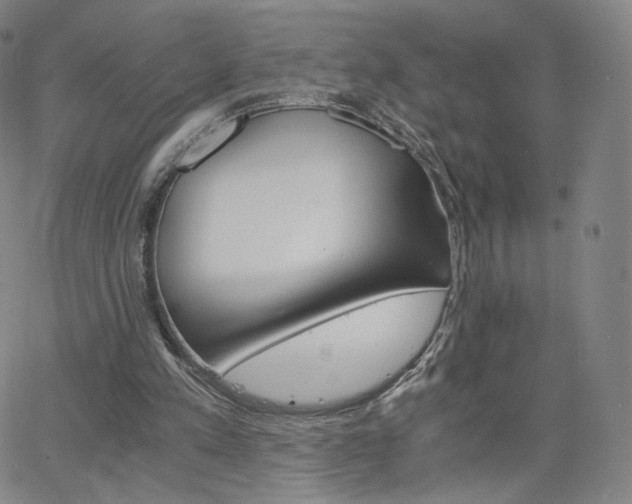 X0000063520197200601201441